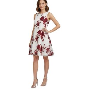 Eci Floral Embroidered Mesh Cream Swing Dress With Tie Size Large